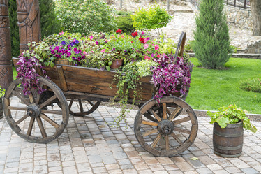 Similar image 22039020