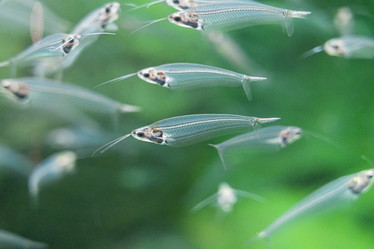 Similar image 22039022