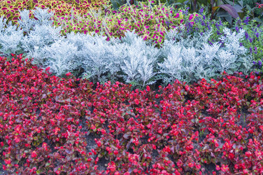 Similar image 22039025