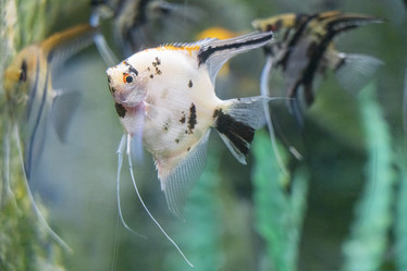 Similar image 22038668