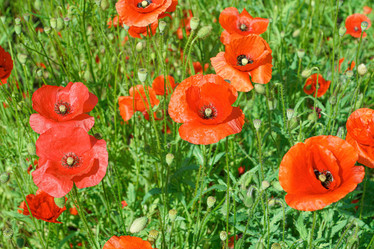 Similar image 22038670