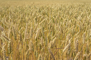 Similar image 22038673