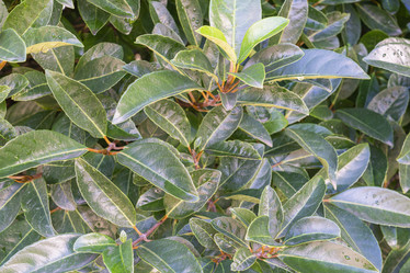 Similar image 22038675