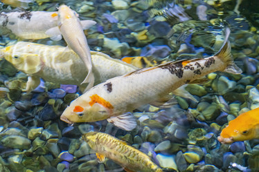 Similar image 22038677