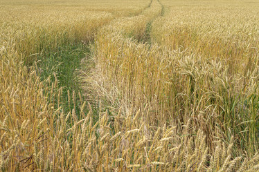 Similar image 22038678