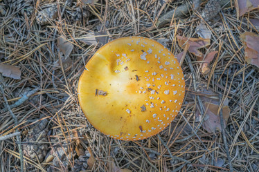 Similar image 22038680