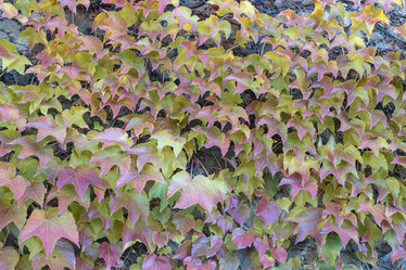 Similar image 22039031