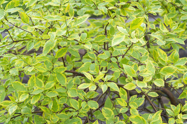 Similar image 22039038