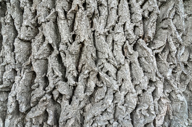 Similar image 22039043