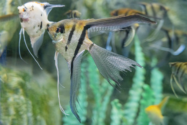 Similar image 22039046