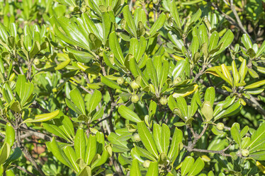 Similar image 22039052