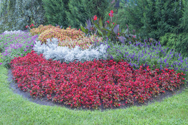 Similar image 22039053