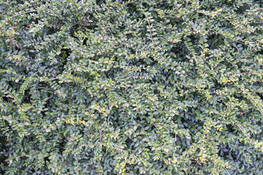 Similar image 22039060