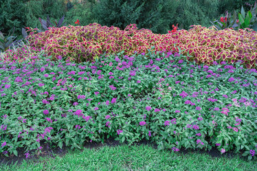 Similar image 22039066