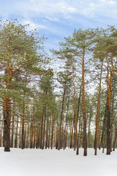 Similar image 22039069