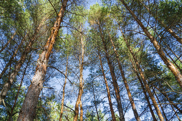 Similar image 22039070