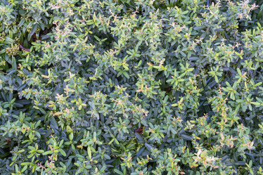 Similar image 22039071