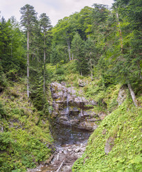 Similar image 22039072