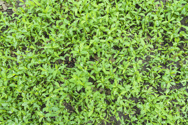 Similar image 22039078