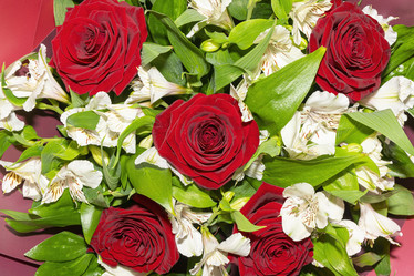 Similar image 22039083