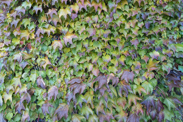 Similar image 22039084