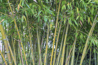 Similar image 22039086