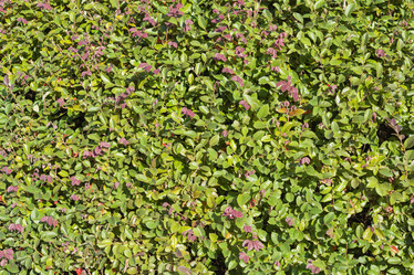 Similar image 22039093