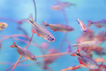 Similar image 22039096