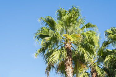 Similar image 22039101