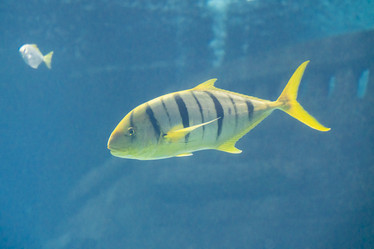 Similar image 22039106