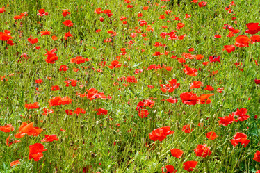 Similar image 22039110