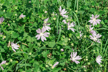 Similar image 22039114