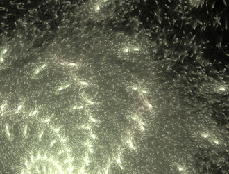 Similar image 22019939