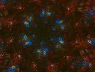 Similar image 22024104