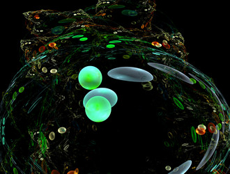 Similar image 22021835