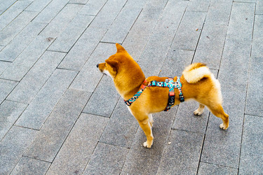 Similar image 22026684