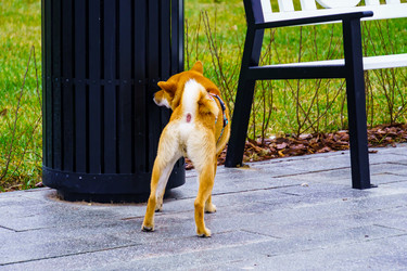 Similar image 22026685