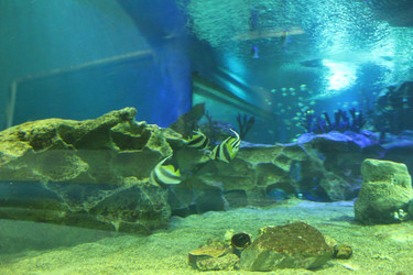 Similar image 22037806