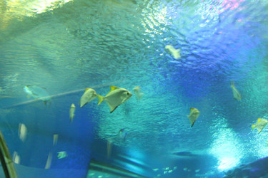 Similar image 22037807