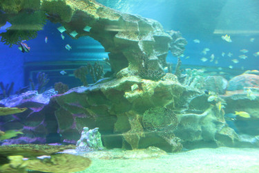 Similar image 22037808