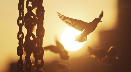 Similar image 22028263