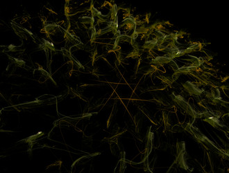 Similar image 22021092