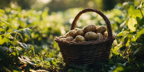 Similar image 22026780