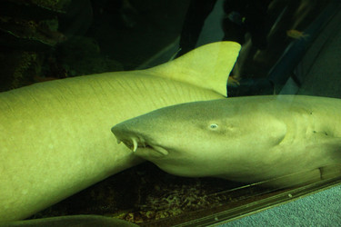 Similar image 22037809