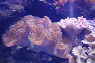 Similar image 22037811