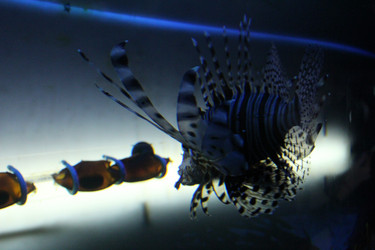 Similar image 22037813