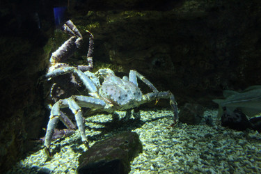 Similar image 22037815