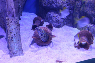 Similar image 22037816