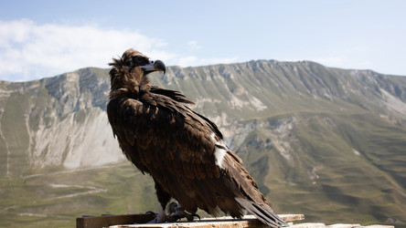 Similar image 22042196