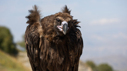 Similar image 22042198